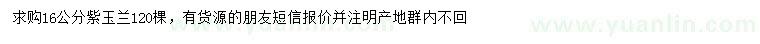 求購16公分紫玉蘭