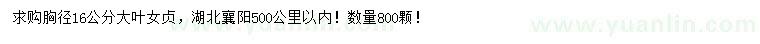 求購胸徑16公分大葉女貞