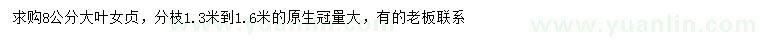求購8公分大葉女貞