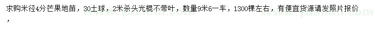 求購(gòu)米徑4分芒果苗