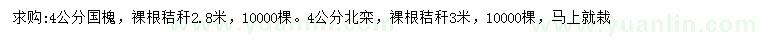 求購4公分國槐、北欒