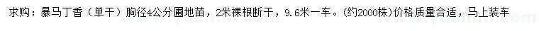 求購胸徑4公分暴馬丁香圃