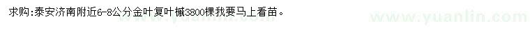 求購6-8公分金葉復(fù)葉槭