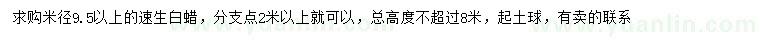 求購米徑9.5公分以上速生白蠟