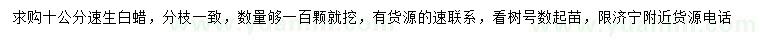 求購10公分速生白蠟