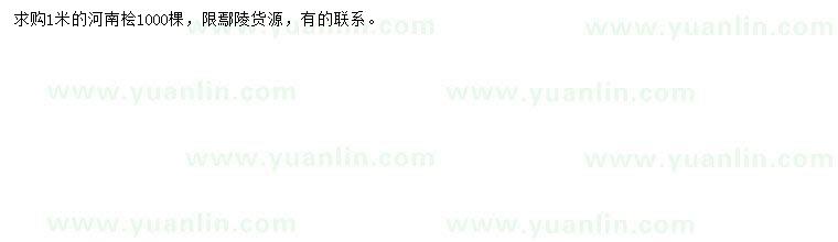 求購1米河南檜