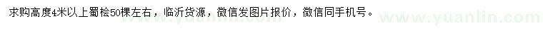 求購(gòu)高度4米以上蜀檜
