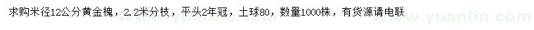 求購米徑12公分黃金槐