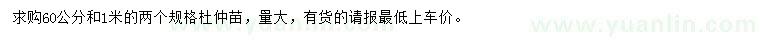 求購60、100公分杜仲苗