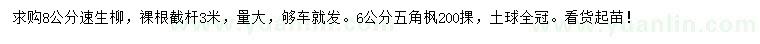 求購8公分速生柳、6公分五角楓
