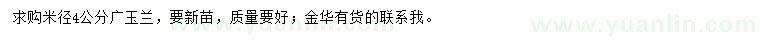 求購米徑4公分廣玉蘭
