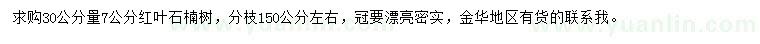 求購30公分量7公分紅葉石楠樹