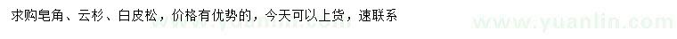求購皂角、云杉、白皮松等