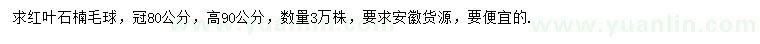 求購(gòu)80*90公分紅葉石楠毛球
