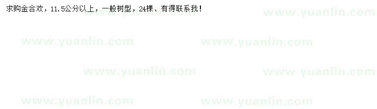 求購11.5公分以上金合歡