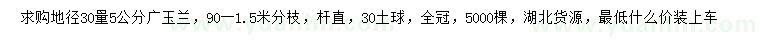 求購地徑30量5公分廣玉蘭