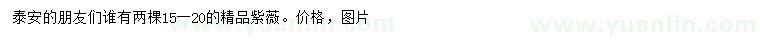 求購15-20公分精品紫薇