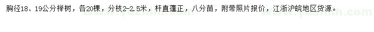 求購胸徑18、19公分櫸樹