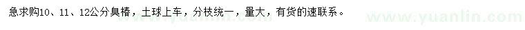 求購10、11、12公分臭椿