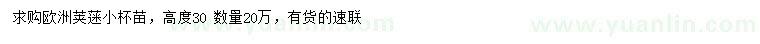 求購高30公分歐洲莢蒾