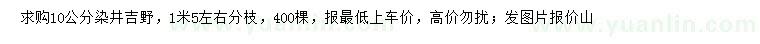 求購10公分染井吉野