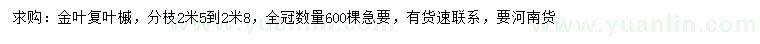 求購分枝2.5-2.8米金葉復(fù)葉槭