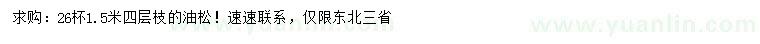 求購1.5米油松