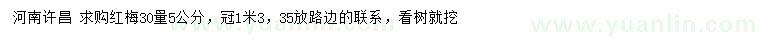 求購(gòu)30量5公分紅梅