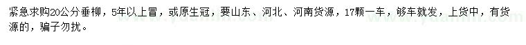 求購20公分垂柳