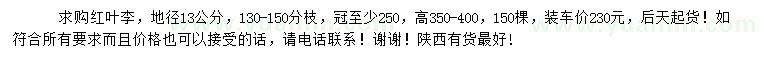 求購(gòu)地徑13公分紅葉李
