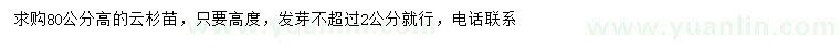 求購(gòu)高80公分云杉苗