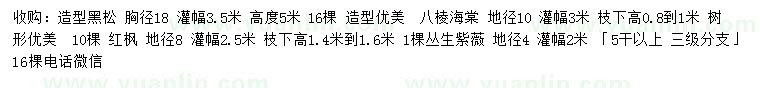 求購造型黑松、八棱海棠、紅楓等