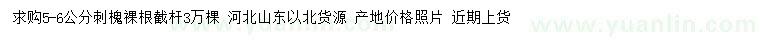 求購(gòu)5-6公分刺槐