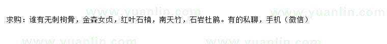 求購無刺枸骨、金森女貞、紅葉石楠等