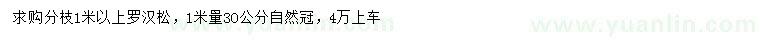 求購1米量30公分羅漢松