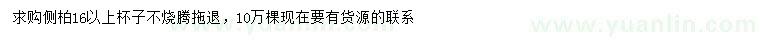 求購16公分以上側柏