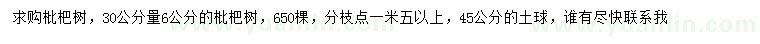 求購30公分量6公分枇杷