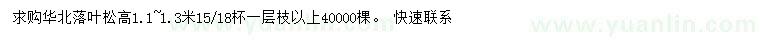 求購高1.1~1.3米落葉松