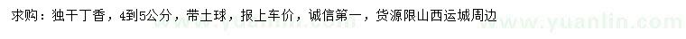 求購(gòu)4-5公分獨(dú)桿丁香