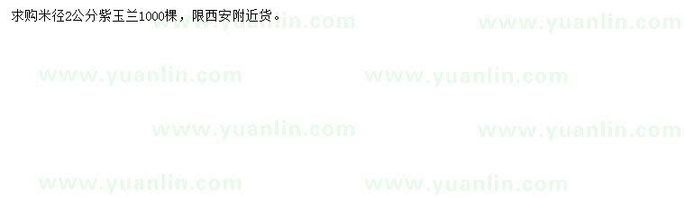 求購米徑2公分紫玉蘭
