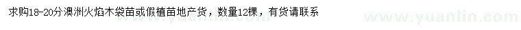求購18-20公分澳洲火焰木