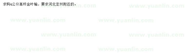求購(gòu)4公分高桿金葉榆