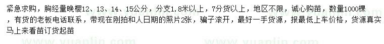 求購胸經(jīng)量12、13、14、15公分晚櫻