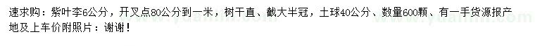 求購(gòu)6公分紫葉李