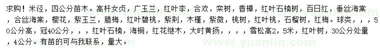 求購高桿女貞、廣玉蘭、紅葉李等