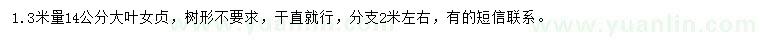 求購1.3米量14公分大葉女貞