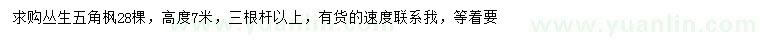 求購高度7米叢生五角楓