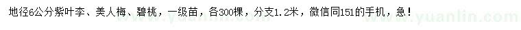 求購紫葉李、美人梅、碧桃