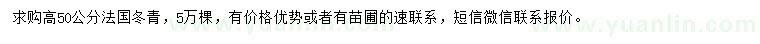 求購高50公分法國冬青