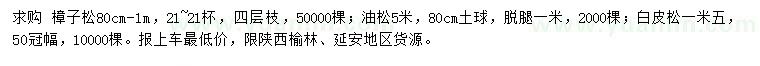 求購樟子松、油松、白皮松